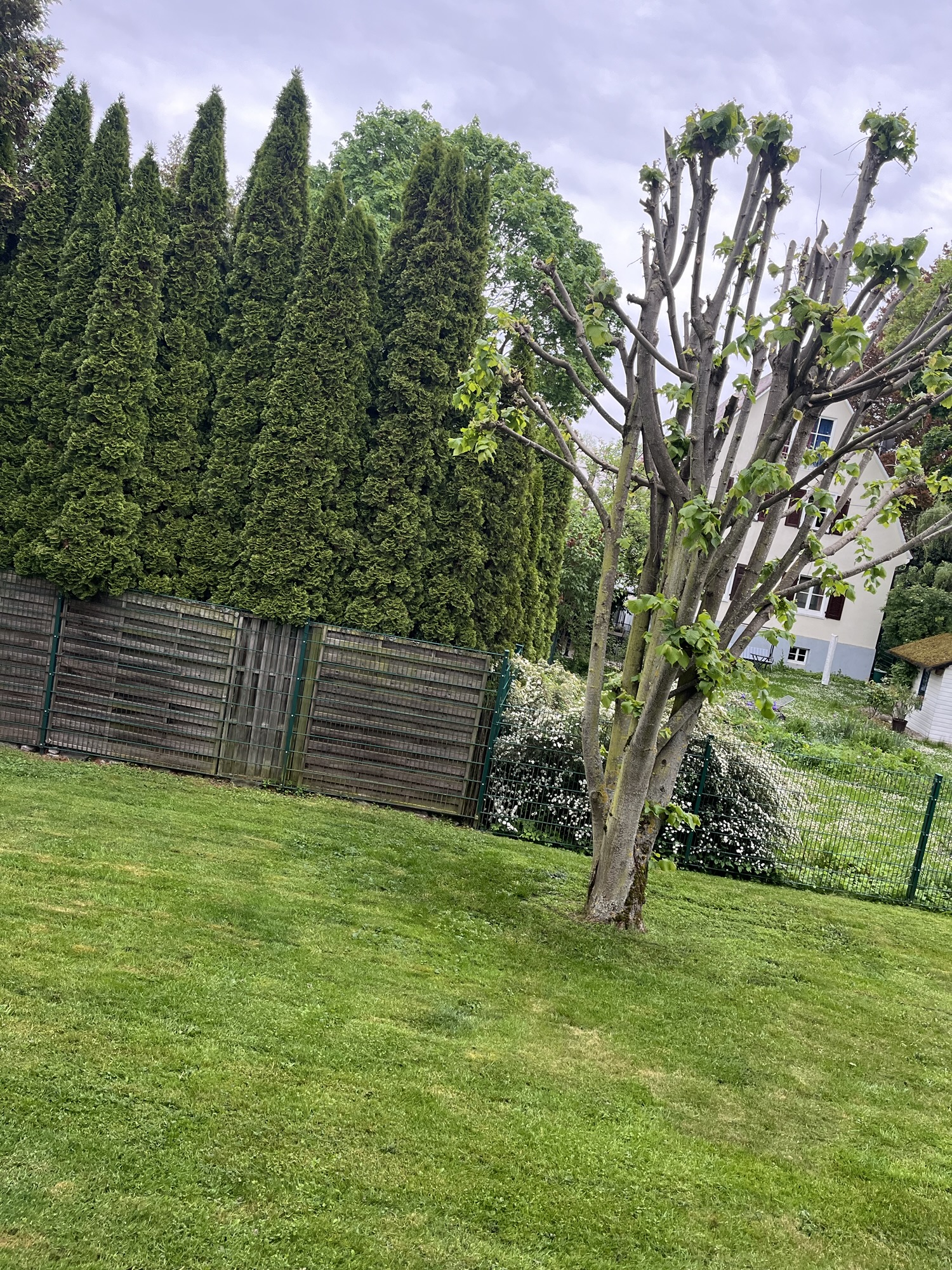 Experiența mea ca mamă în Germania: provocări, adaptare și viața de zi cu zi